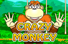 Crazy Monkey