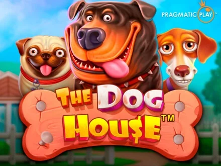 The dog house